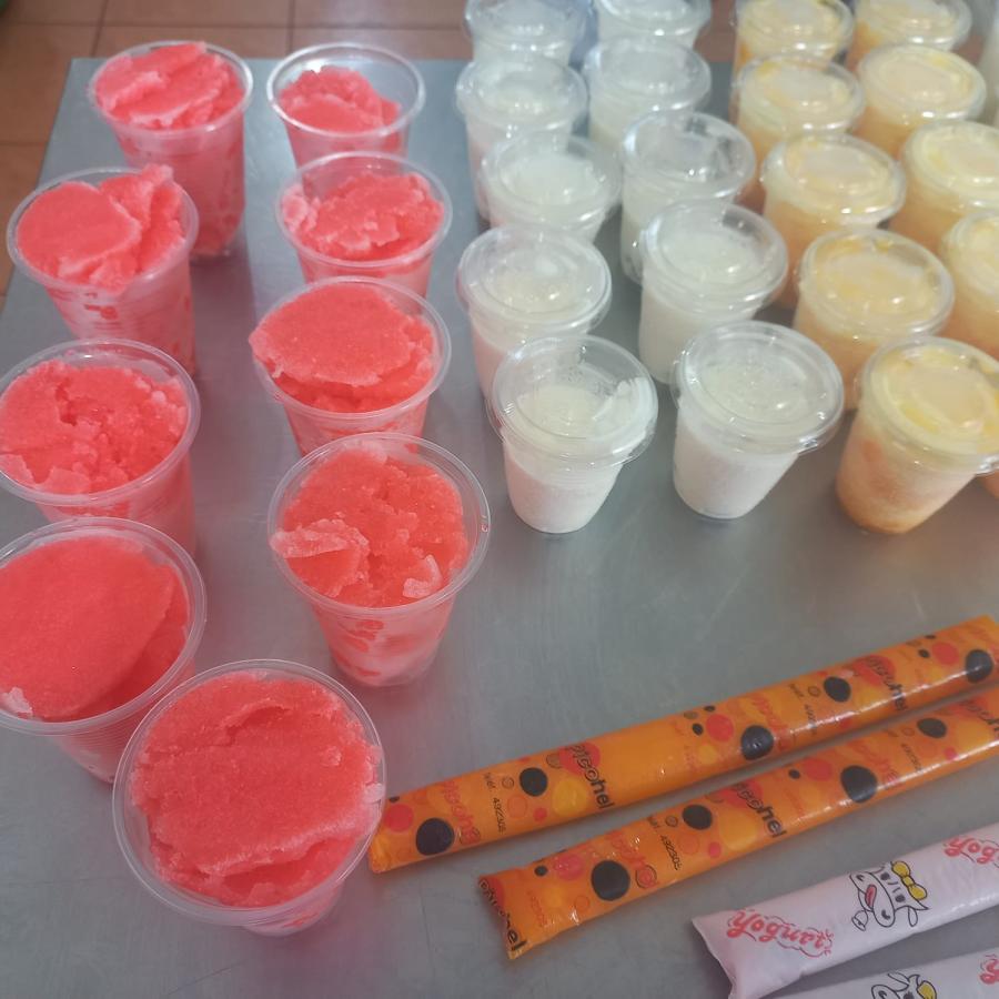 Cat&aacute;logo CEPROART: Curso Presencial Elaboracion Helados